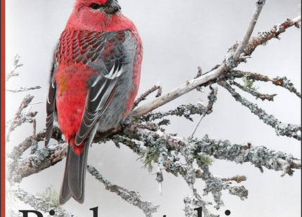 Birdwatching in Maine: A Site Guide