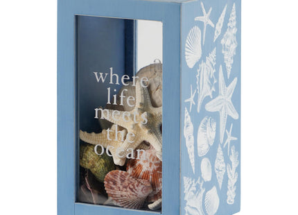 Synovana Seashell Holder Wooden Seashell Display Box Beach Coastal Decor Acrylic Sea Shell Display Holder Home Decor, 4.25 x 4.25 x 7.25 inches
