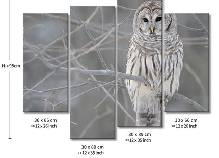 Owl Wall Art Artwork White Owl Prints On Canvas, 4 Panels Animal Pictures