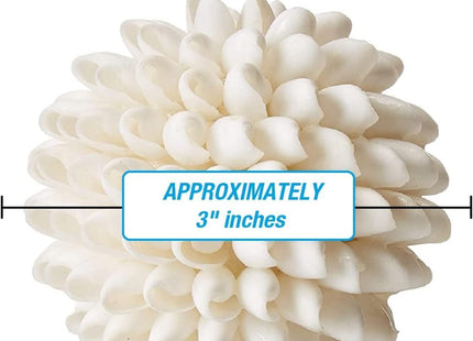 Tumbler Home Real Seashell Decorative Balls for Beach House Decor