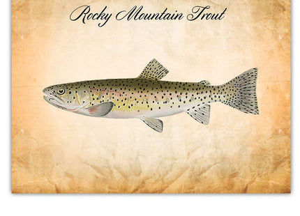 Trout Fly Fishing Wall Art - Vintage Poster Prints Set of 4 8x10 Unframed