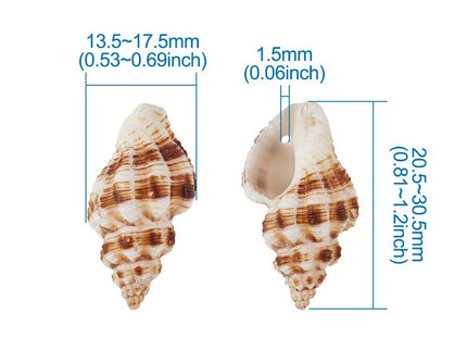 Craftdady About 161pcs/Box Natural Spiral Sea Shell Pendants 13.5-17.5x20.5-30.5mm Cowrie Beach Seashell Charms with 1.5mm Hole for Jewelry Making Fish Tank Home Decor