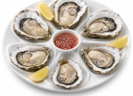 Maine Man Oyster Plate, Fine Porcelain, 6-Well Serving Dish For Preparing And Enjoying Oysters And Sauces