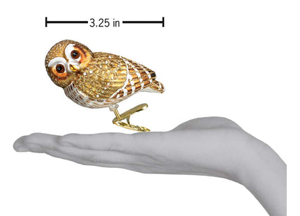 Old World Christmas Pygmy Owl Glass Blown Ornament for Christmas Tree, Handcrafted Holiday Decoration, Owl Collection