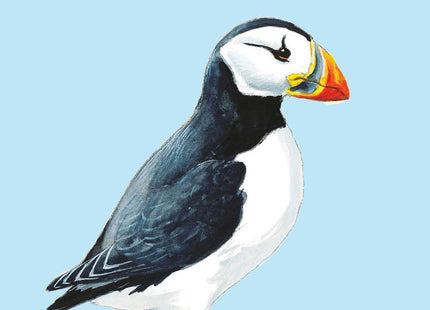 Birds of New England (Falcon Pocket Guides)