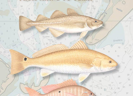 A Field Guide to Coastal Fishes: From Maine to Texas
