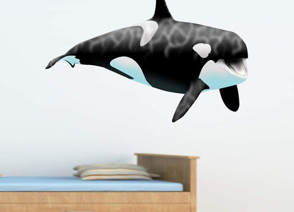 VWAQ Giant Orca Whale Wall Decal Peel and Stick Killer Whale Ocean Wall Art (14.5" H X 24" W)