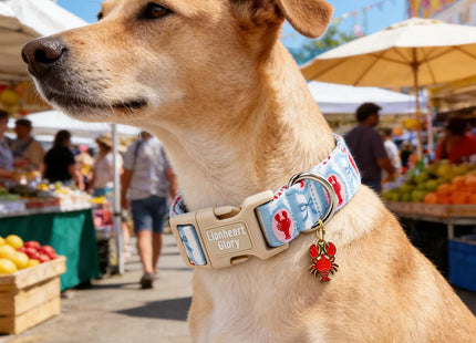Lionheart glory Dog Collar - Cute Lobster Print Blue Dog Collars, Adjustable Soft Pet Collar for Medium Dogs Puppy Male Female Pet Collars Spring Summer Holiday