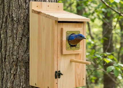 KraAra Bird Houses for Outside Clearance with Copper Guard, Pine Bird House Outdoor, Bluebird Finch Swallow Wren Chickadee No Assembly Required, 1 Pack