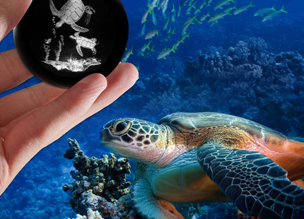 PYJ3DLAMP 3D Sea Turtle Crystal Ball with Stand Lase Engraved Glass Sphere Paperweight Sea Turtle Decor Gift