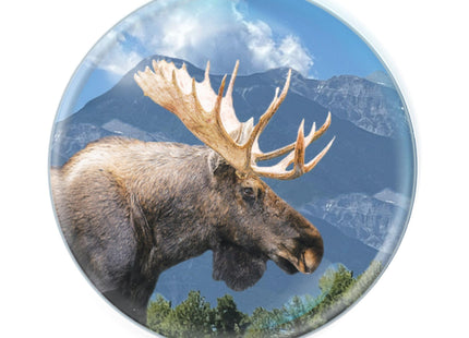Magnidome - Moose Fridge Magnet from Deluxebase. Cute Crystal Glass Dome Magnet for Refrigerator, Whiteboard and Locker. Unique Animal Gift for Office and Home Decor