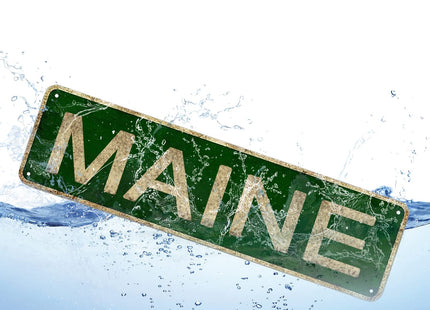 YOYUJU Maine Sign, America State Name Vintage Metal Tin Sign 4x16 Inch