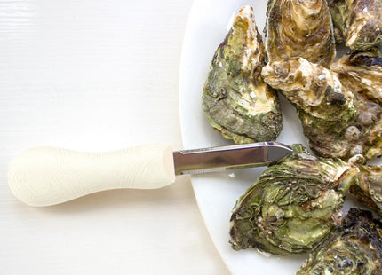 Nonley Oyster Shucking Knife, 2 Pack Oyster Knife Shucker Set with Professional Grade Cut Resistant Gloves, Stainless Steel Seafood Opener Tools