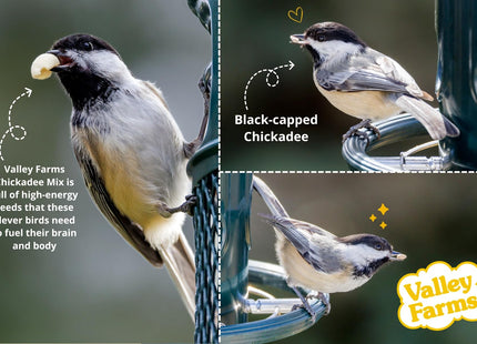 Valley Farms Chickadee Mix (3 LB) Wild Bird Food for Outside Feeders, Chickadee Bird Seed w/Peanuts and Sunflower Hearts for Birds, Feed Chickadees! Stiped Sunflower Seeds