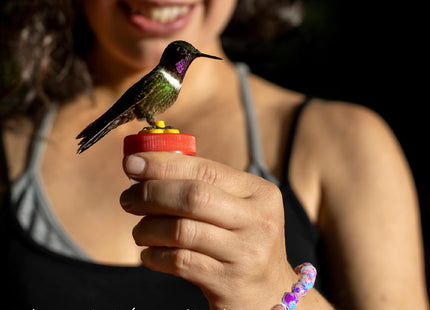 SODLYUE Hummingbird Bracelet for Women - Hummingbird Jewelry Gift