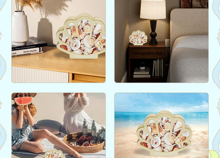 Sea Shell Holder Wooden Seashell Display Case Handmade Small Shadow Box Home Decoration with Clear Acrylic Panel Coastal Decor Bedroom Decor Gift for Women Men