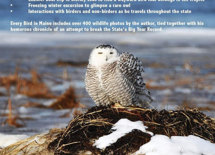 Every Bird In Maine: One Man's Journey to See Every Bird in Maine - A Photographic Account of a Maine Big Year in Birding