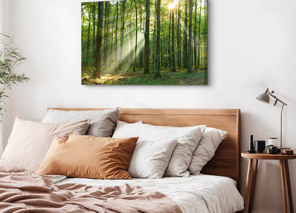 Morning Sunlight Forest Wall Art Nature Scenery Pictures Wall Decor Sunrise Woodland Painting for Living Room Rustic Green Grass Scenic Photography Prints Canvas Artwork Bedroom Home Decoration 32x48"