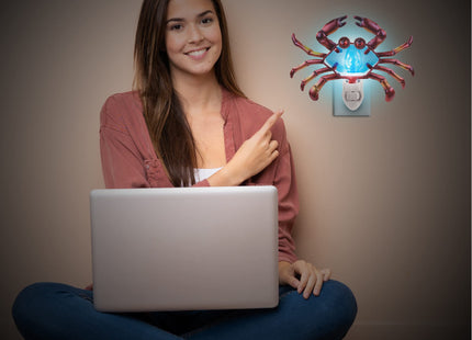 Puzzled Glass Art Night Light, Plug in Decorative Socket Lamp, Manual On & Off Portable Lights for Stairway, Bedroom, Bathroom, Nursery, Home Accessory & Kitchen Decor - Crab