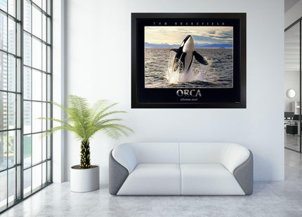 Impact Posters Gallery Breaching Orca Killer Whale Ocean Animal Nature Wall Decor Art Print Poster (16x20)