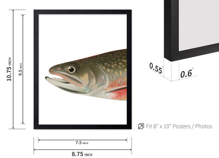 Poster Master 3-Piece Trout Fish Poster - Aquatic Print - Gift for Sailor, Fisherman, Friend - Brook Trout, Lake, Fish, Marine Life, Animal - Wall Decor for Home, Lake House, 8x10 Black Framed