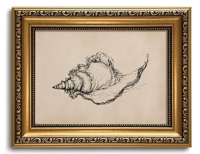 Avklitu Seashell Bathroom Wall Art Coastal Gold Framed Wall Decor