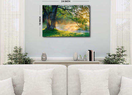 Forest Wall Art Nature Landscape Wall Decor Office Home Decorations 16x24"