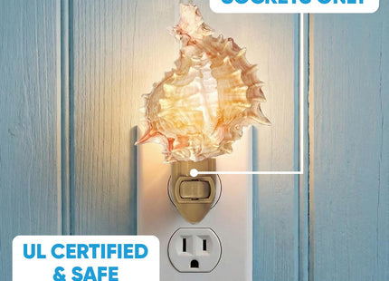 Real Shell Night Light, Seashell Decor for Coastal Bathroom or Beach House