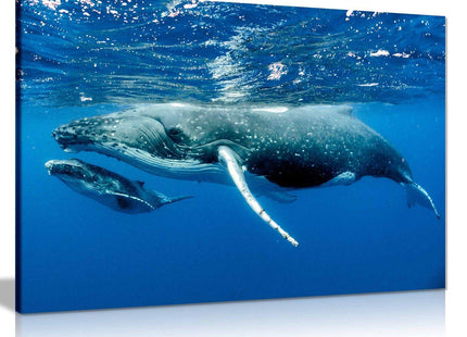 Humpback Whale & Calf Canvas Wall Art Picture Print Home Decor (24x16in)