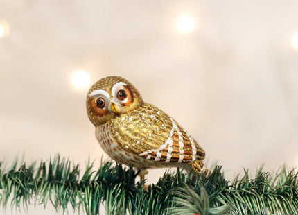 Old World Christmas Pygmy Owl Glass Blown Ornament for Christmas Tree, Handcrafted Holiday Decoration, Owl Collection
