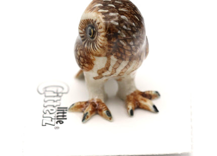 Little Critterz Owl Saw whet Owl Sawyer - Home Decor Bird Miniature Porcelain Figurine