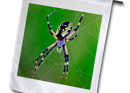 3dRose Black-Yellow Argiope spider, Rockport, Maine - US20 AJE0020 - Adam Jones 12 x 18 inch Garden Flag