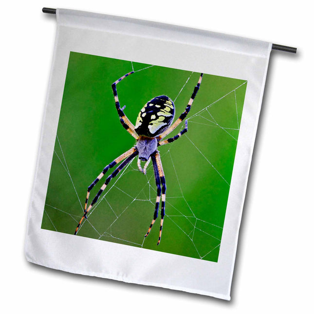 3dRose Black-Yellow Argiope spider, Rockport, Maine - US20 AJE0020 - Adam Jones 12 x 18 inch Garden Flag