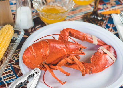 100 Pcs Crab Crackers and Tools, Crab Crackers Sets, Lobster Cracker, Heavy Duty Seafood Tools, Nut Cracker Set