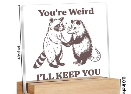 Funny Raccoon Gifts for Friends Besties, Raccoon and Possum Acrylic Plaque