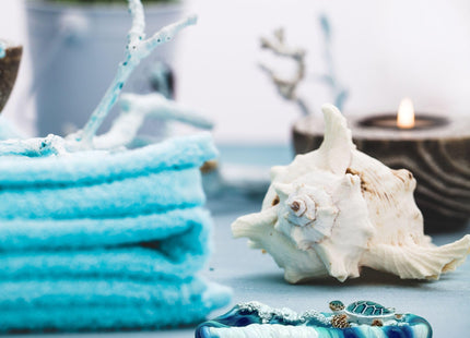 BestGiftEver Sea Turtle Wave Soap Dish