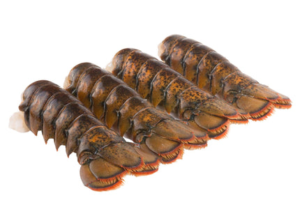 Today Gourmet Foods of NC Maine Lobster Tails (8oz-10oz) (8 Tails)