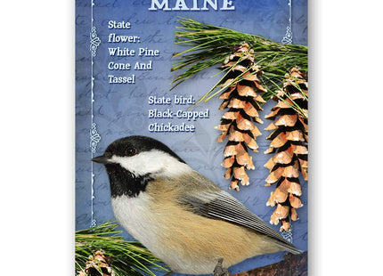 MAINE BIRD AND FLOWER postcard set of 20 identical postcards. ME state symbols post cards. Made in USA.