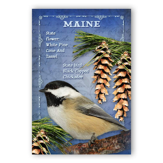 MAINE BIRD AND FLOWER postcard set of 20 identical postcards. ME state symbols post cards. Made in USA.