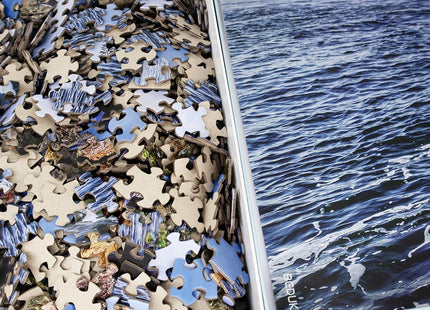 BEDUKE Jigsaw Puzzles for Adults 1000 Pieces Acadia National Park 1000 Piece Puzzle Age 14+ Thick Sturdy Cardboard Precise Interlocking Family Game