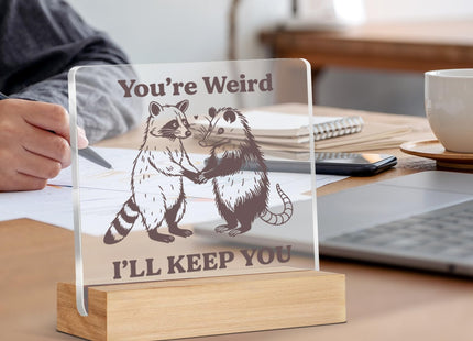 Funny Raccoon Gifts for Friends Besties, Raccoon and Possum Acrylic Plaque