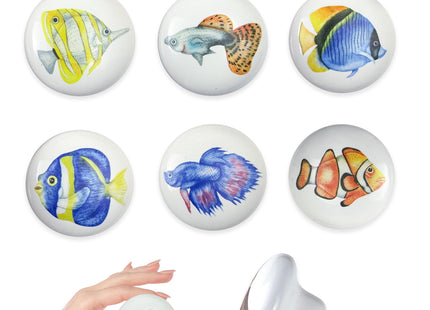 Lasyman Set of 6 Ceramic Kids Nursery Cute Fish Cabinet Door Coastal Beachy Dresser Drawer Knobs and Pulls Handles 1.5 X 1.5 Inches