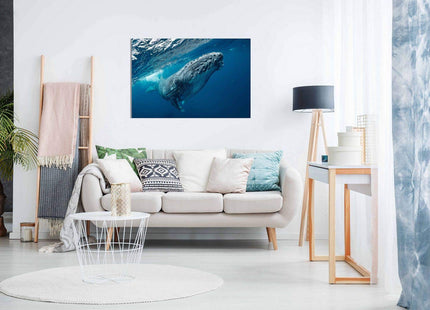 Humpback Whale Ocean Canvas Wall Art Picture Print Home Decor (30x20in)