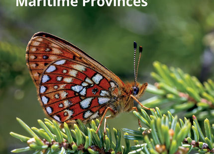 Butterflies of Maine and the Canadian Maritime Provinces