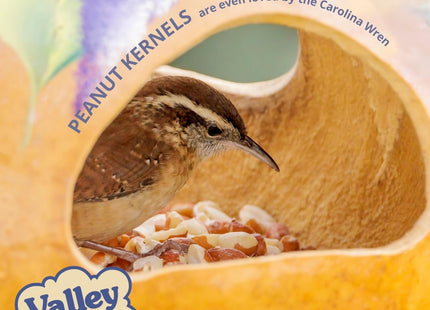 Valley Farms Whole Peanut Kernels (4 LB) Wild Bird Food for Outside Feeders, Peanuts for Birds, Chickadee Bird Seed for Outside Feeders, No Mess Bird Seed
