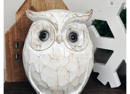 QIAOIDEA Rustic Carved Owl Figurine - Chubby Owl Decor for Home and Office - Shelf, Desktop, Cabinet, Fireplace Mantel
