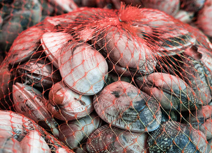 Amytalk Seafood Boil Bags 100 PCS Clam Bake Shellfish 22Inch Cooking Mesh Plastic Bags