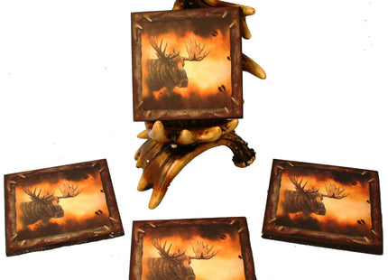 Wildlife Creations Moose Coaster Set