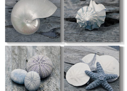 Renditions Gallery Beach Wall Décor Seashell Picture Prints Set of 4 Canvas Wall Art 16 x 16 inches Each Solid Wood Artwork for Cabin Home Office