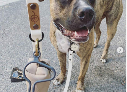 The dooloop Hands Free Dog Poop Holder - Carry Pet Waste Bag with Attachable Leash Accessory for Dog Walking. Now made with Recycled/Recyclable Plastic. Maine, USA (City Set) Pink, Charcoal